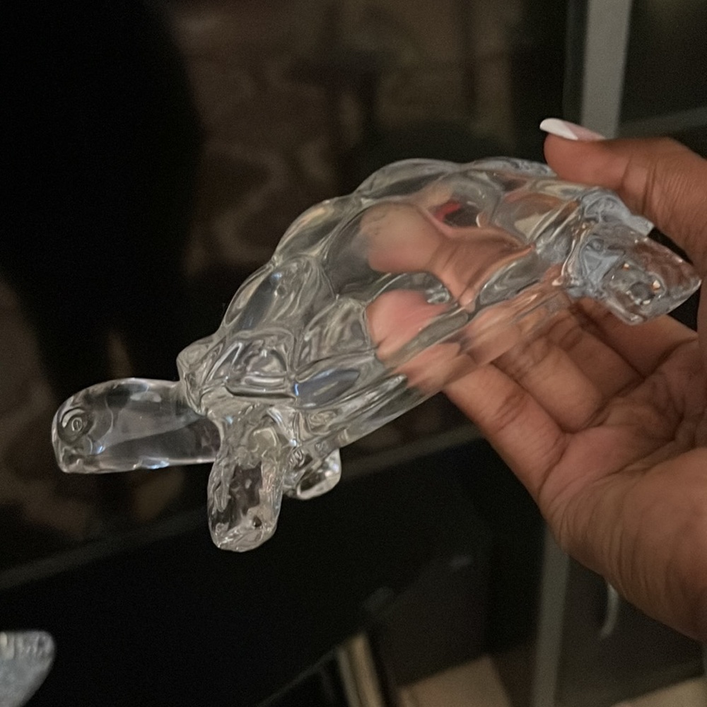 Turtleee - Picture 4 of 4